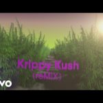 Krippy Kush (Remix) - Farruko, Nicki Minaj, Bad Bunny ft 21 Savage, Rvssian