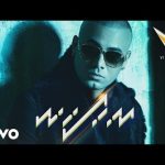 Esta Noche Lo Vamos a Hacer - Wisin
