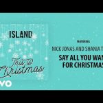 Say All You Want For Christmas - Nick Jonas ft Shania Twain
