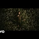 In My Blood - Shawn Mendes