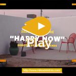 Happy Now – Zedd, Elley Duhé